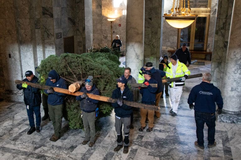 Workers from the Washington State Department of Enterprise Services carry a 20-foot noble fir as other members help by staying out of the way.