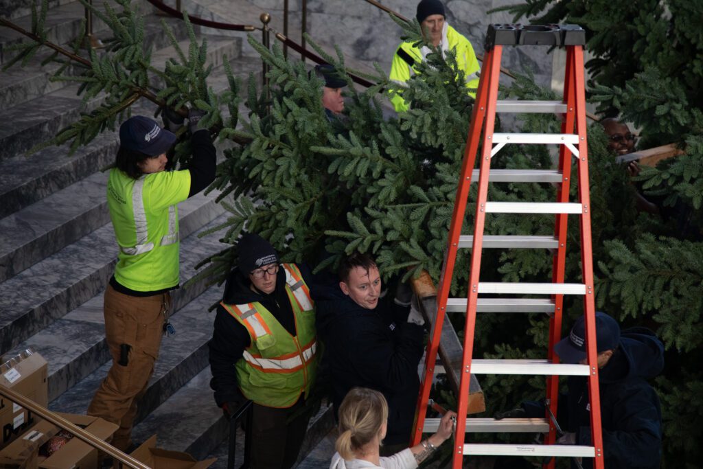 Tree bearers talk as they try to bring the tree up the staircase while a helper brings a ladder.
