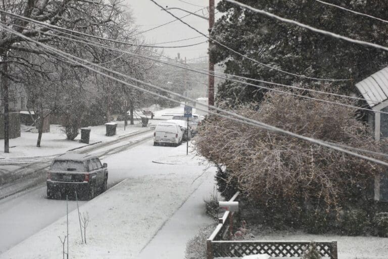 Snow accumulates on I Street in Bellingham as cars slowly try to navigate the snowy roads.