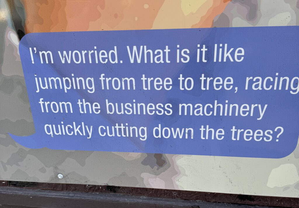A text blurb on a window talks about how the texter is worried about the trees.