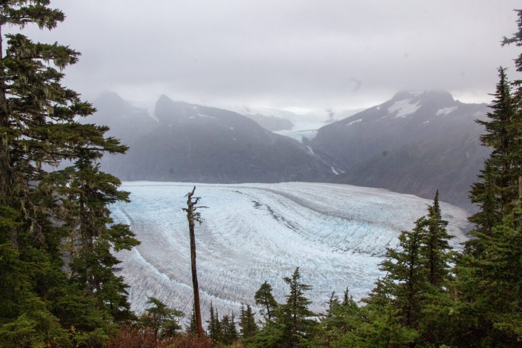 The ancient, deep blue ice of the Mendenhall Glacier surrounded by snowy mountains and dense forestry.