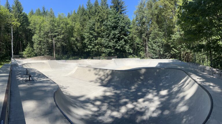 The Coal Pad Skate Park surrounded by forestry.