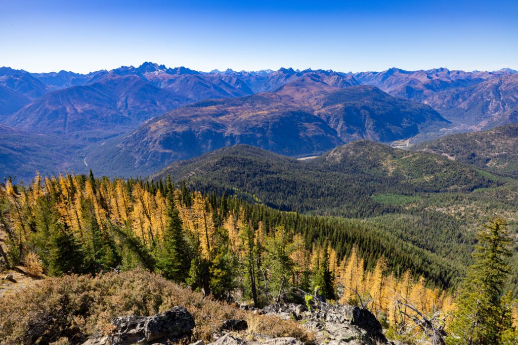 A view from a Firewatch outpost shows the expansive trees and mountains.