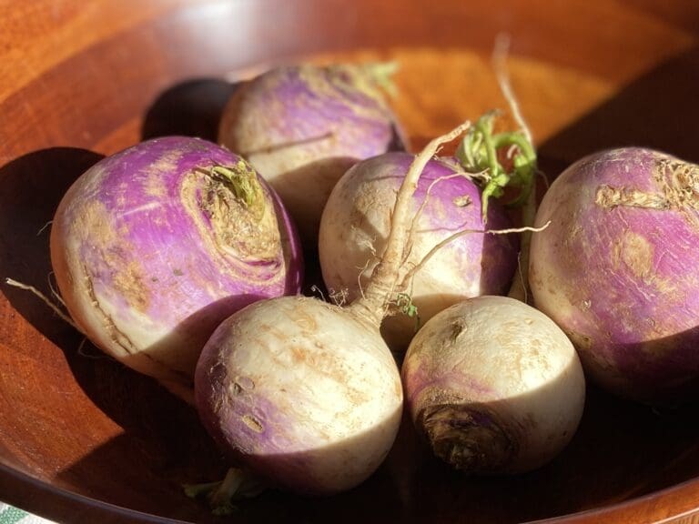 A wooden bowl full of turnips.