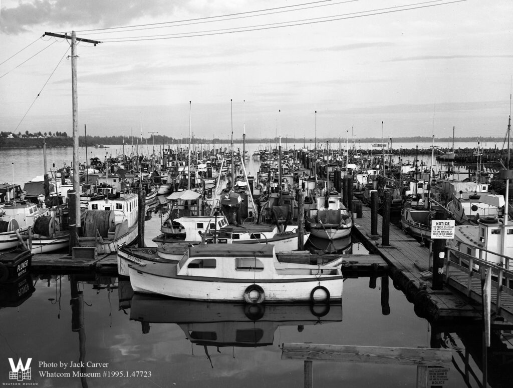 A black and white photo of the Port of Bellingham harboring large number of boats.