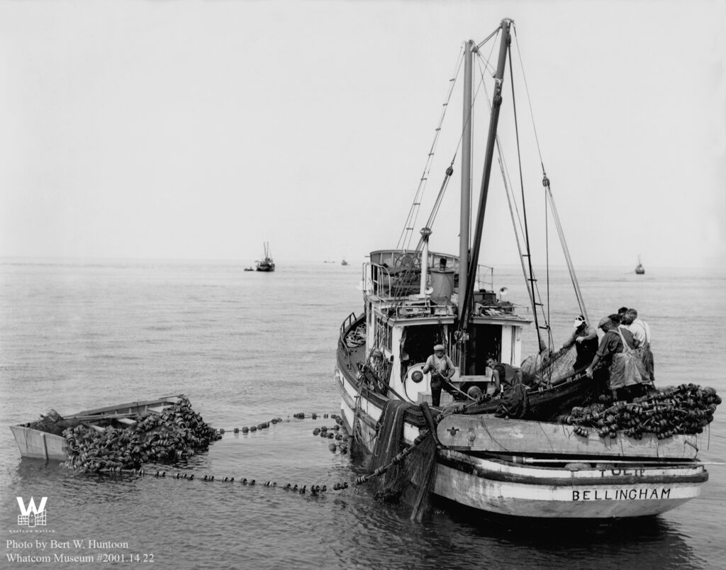 Vintage black and white photo of a group of fisherman reeling in nets into their boat.