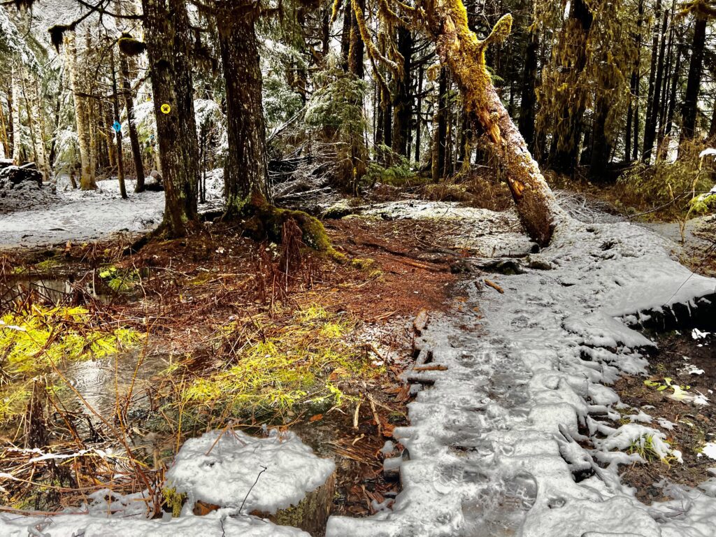 A hiking path covered in ice and snow as shoe prints are left behind by previous hikers.