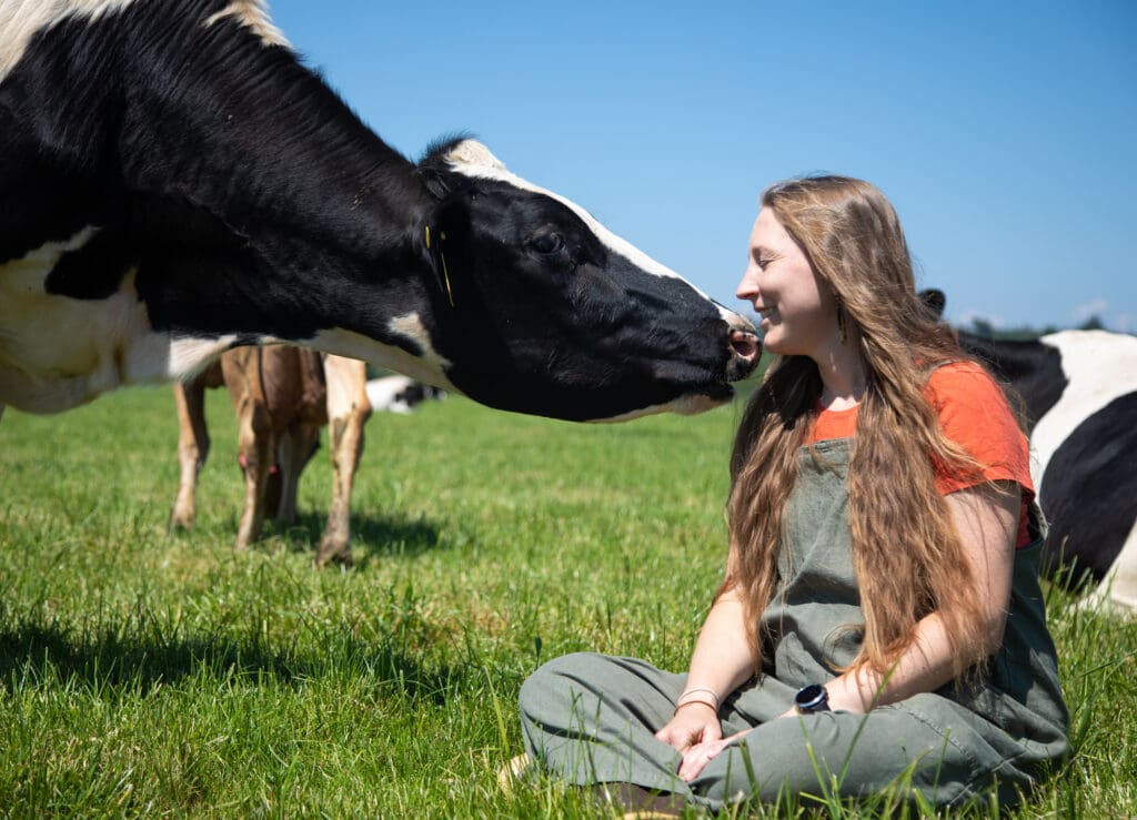 Kate Steensma is greeted by a dairy cow on the grassy fields.