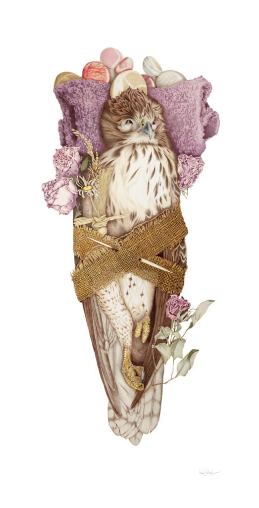 An illustration colored and drawn by Kim Obbink is the "Hawk" wrapped in cloth and flowers.