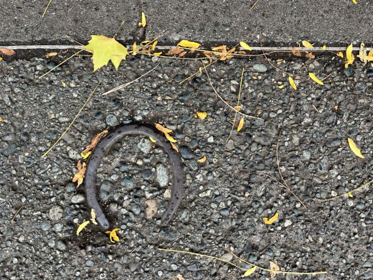 A few horseshoes are embedded in the sidewalk outside The Bagelry on Railroad Avenue in Bellingham. The horseshoes serve as a reminder of John Kastner