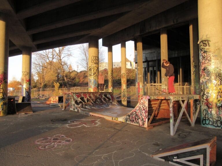 The skatepark under the Roeder Avenue bridge being used by a skater.