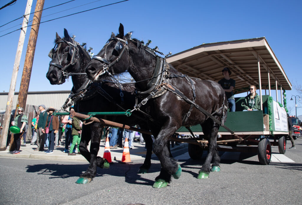 Horses with hooves painted green pull a carriage representing Swiftwater Electric and Solar.