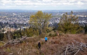 People walk to a bench on the Samish Crest with a view of Bellingham in the background.