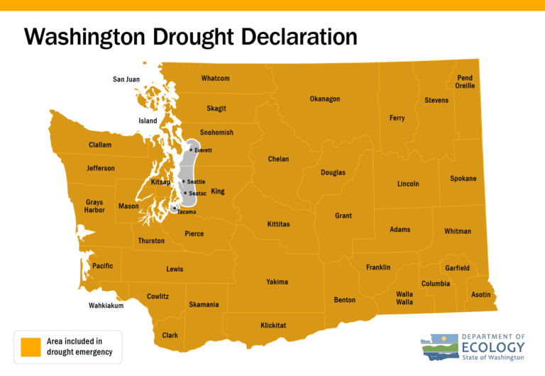 A map of Washington state with yellow covering most of the area signifying drought conditions.