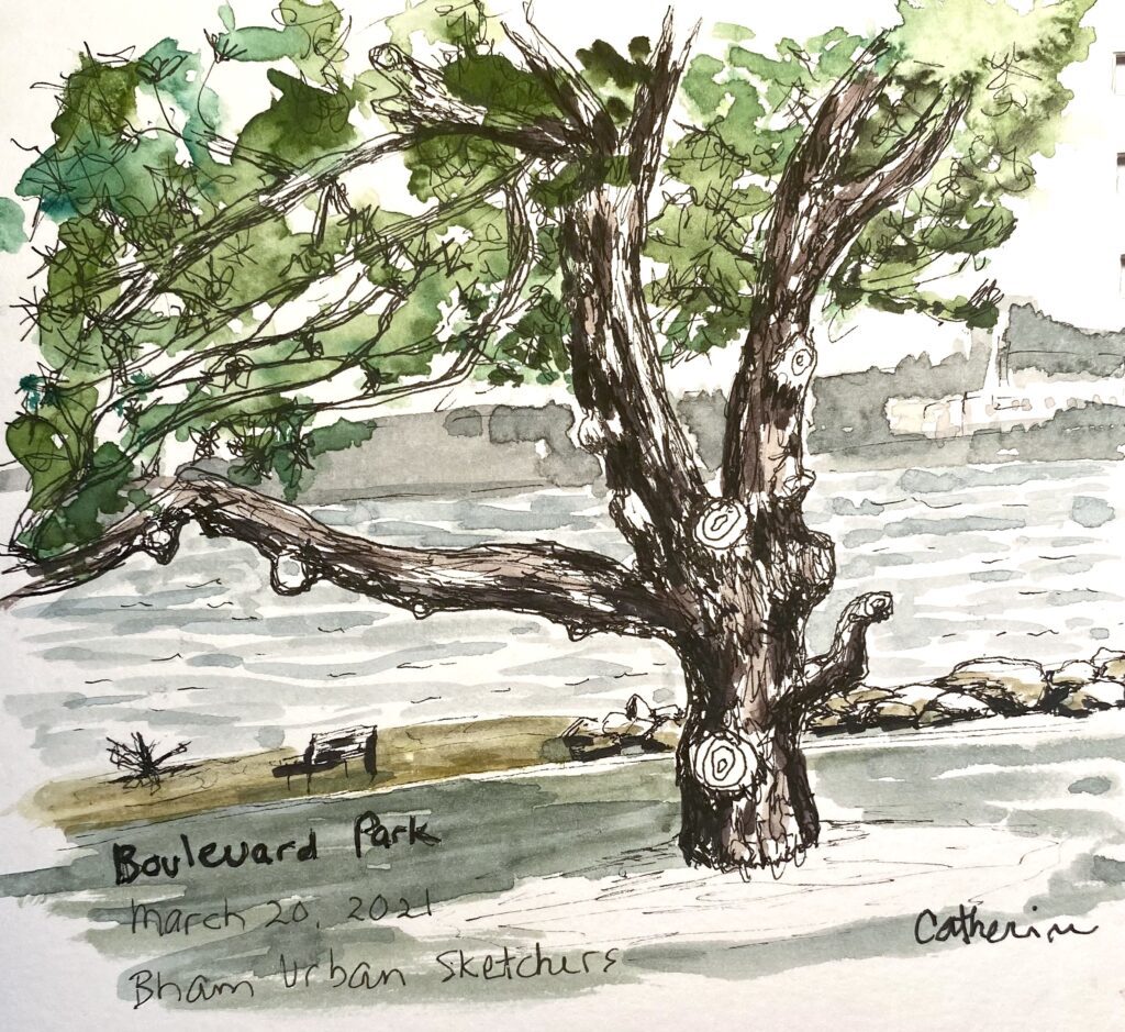 Boulevard Park sketched by Catherine Riordan.